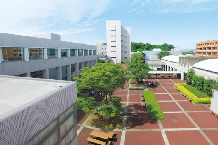 四日市大学